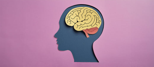 My Favorite Nutrient for Mental Clarity, Focus, and Alertness