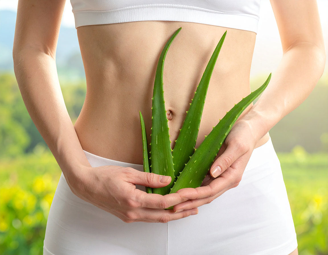 Aloe Vera and Gut Health