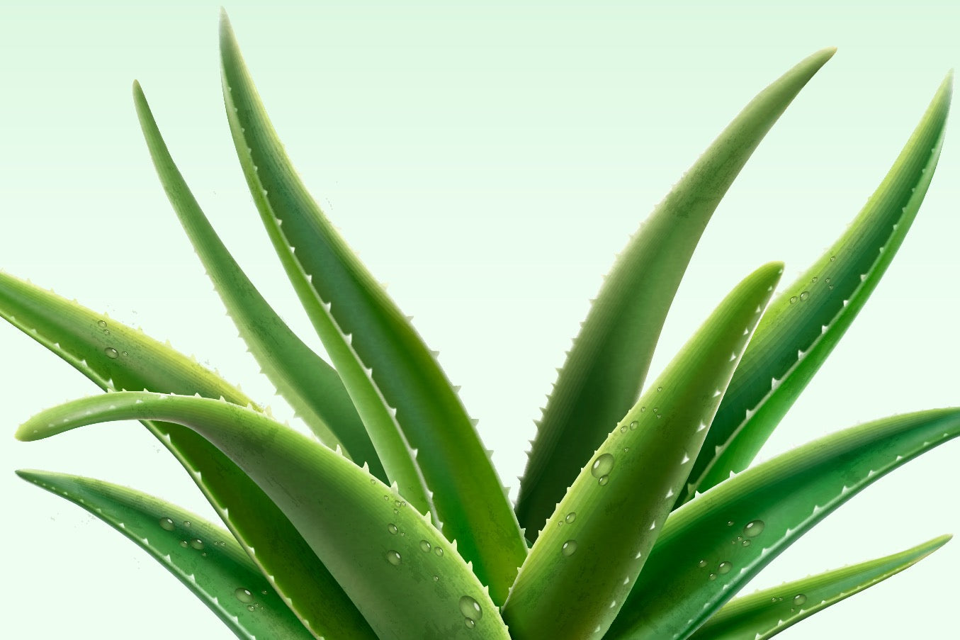 Ep. 75 - Is Aloe Vera Actually Harmful?