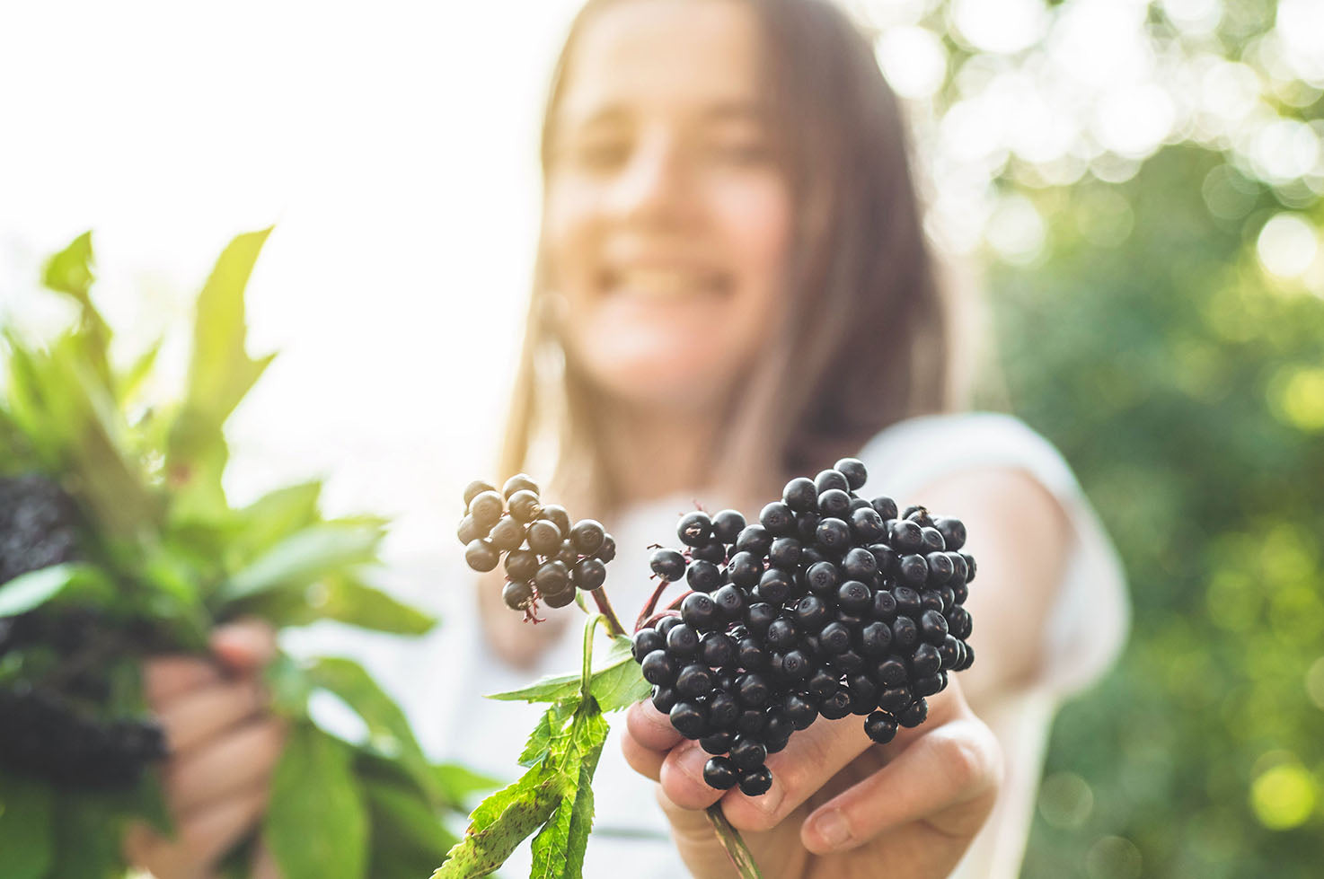 Ep.41 - ElderMune: High Potency Organic Elderberry for Immune Health with Erik Kennison