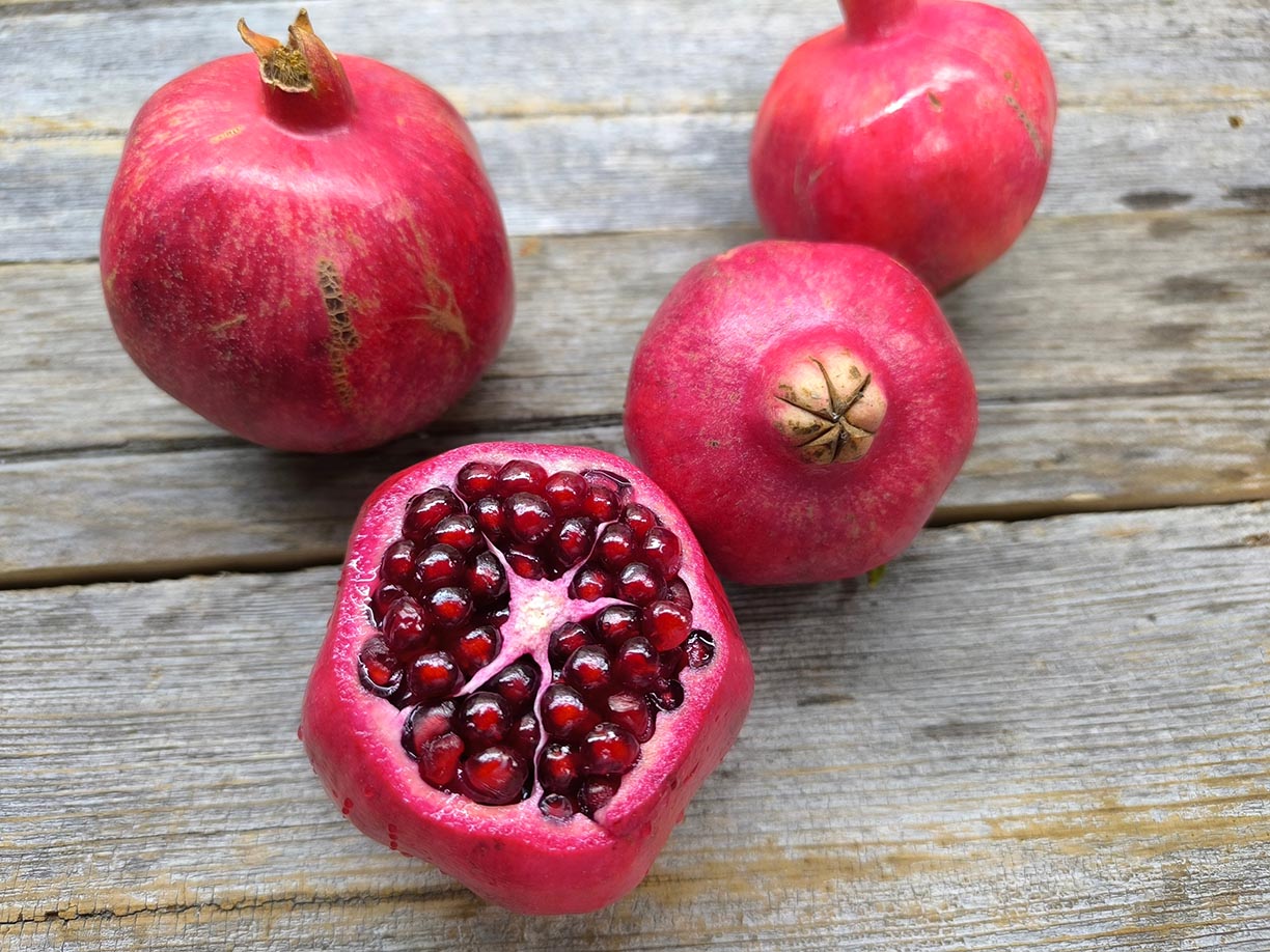 Ep. 36 - Exploring the Potential of Pomegranate Extracts for Brain and Health Benefits