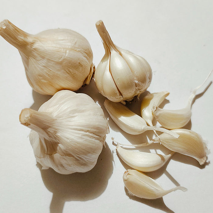 Garlic Powder May Help Support Cardiovascular & Intestinal Health