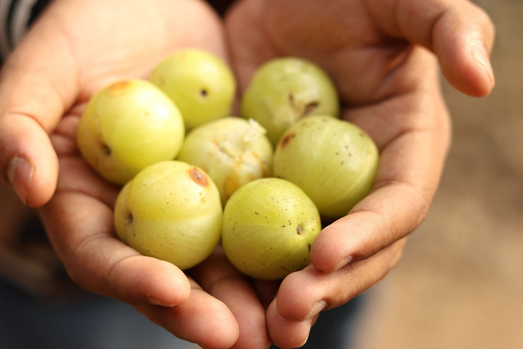 Ep. 137 -  The Truth About Amla: Why Hair Isn't the Main Story