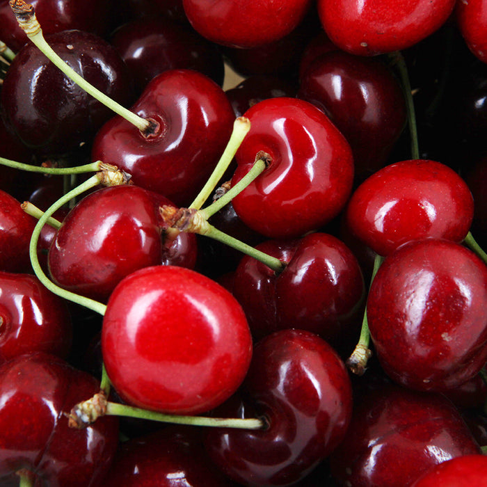How Tart Cherries Can Support Joints & Muscles and Uric Acid Levels