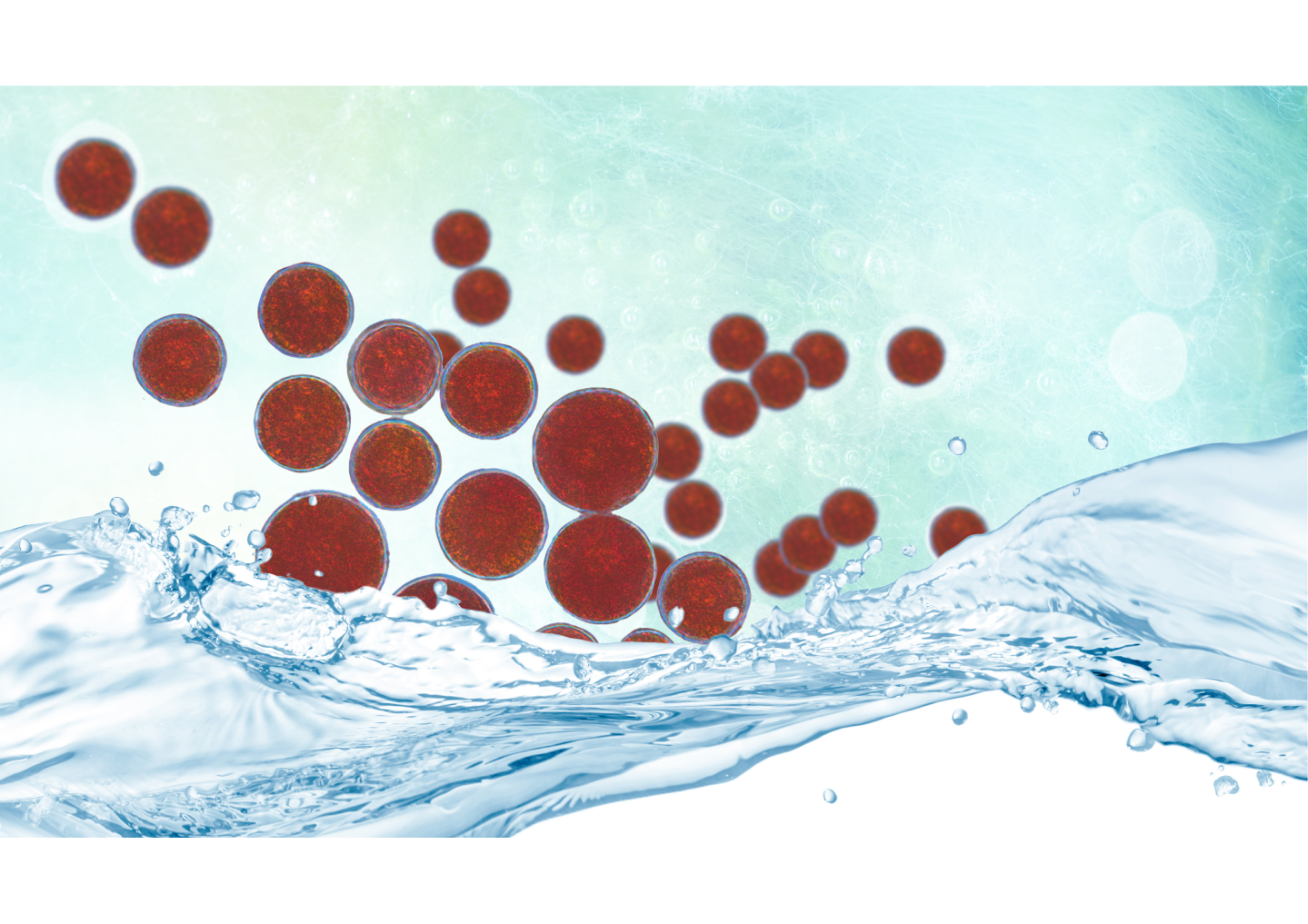 The Complete Guide to AstaReal® Astaxanthin
