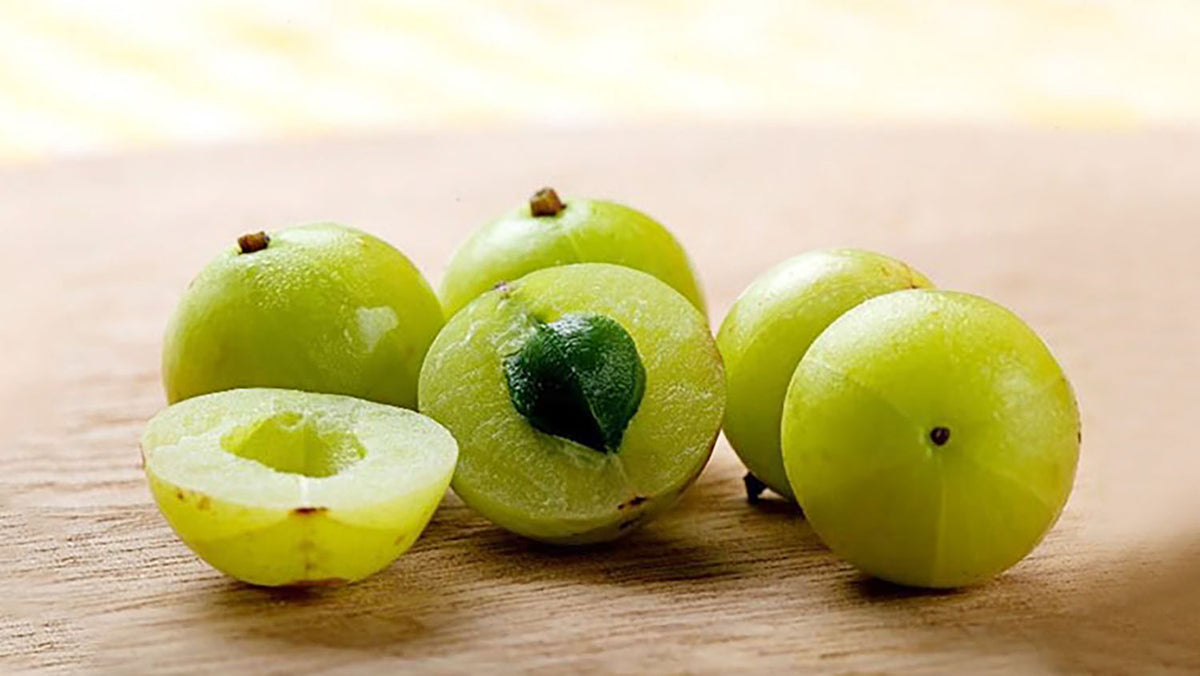 NatureCity Guide Amla Fruit Extract & Capros® Benefits, Usage, and