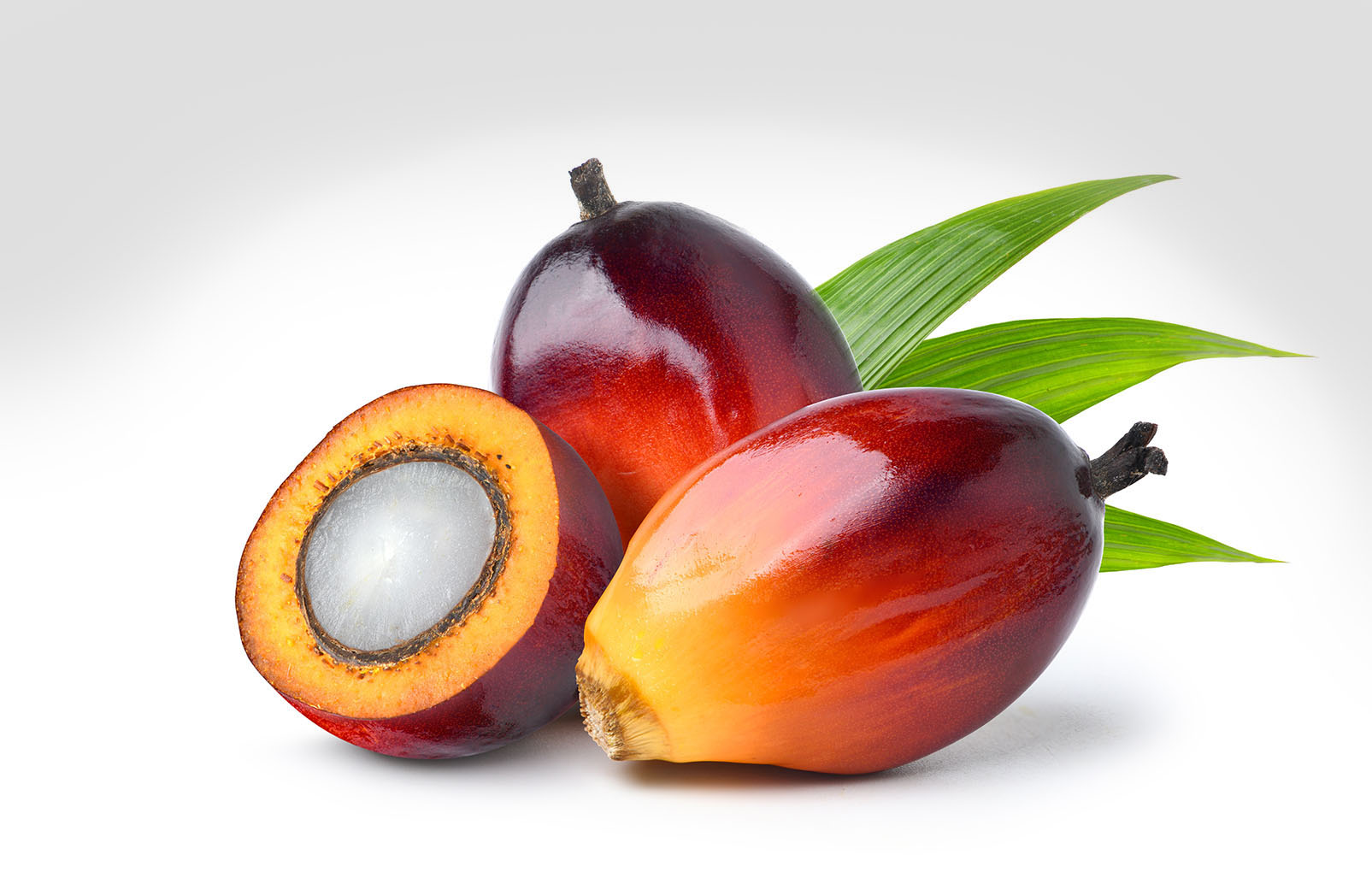 More Evidence of Tocotrienol  Brain Benefits – Why Your Vitamin E Supplement May Be Incomplete