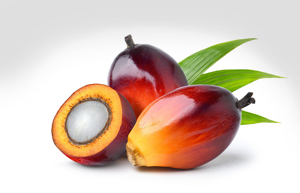 More Evidence of Tocotrienol  Brain Benefits – Why Your Vitamin E Supplement May Be Incomplete