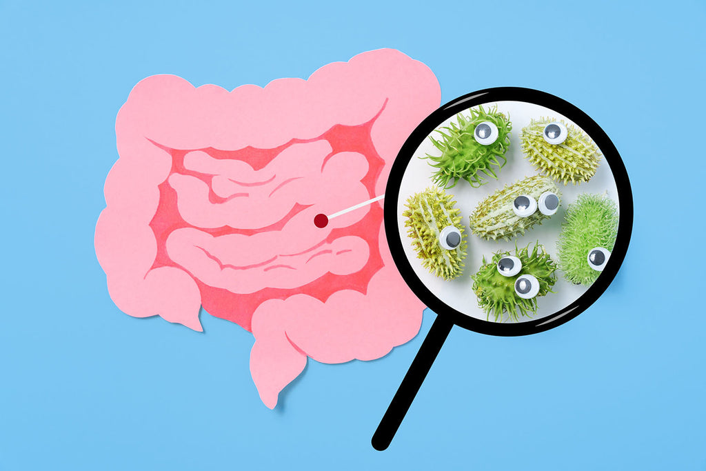 Ep. 142 - Resistant Starch: The Most Overlooked Fiber for Your Gut Microbiome