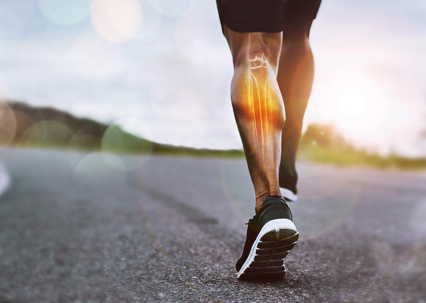 Ep. 123 - The PEA Advantage: Joint Comfort, Faster Recovery, Sleep & Stress Support