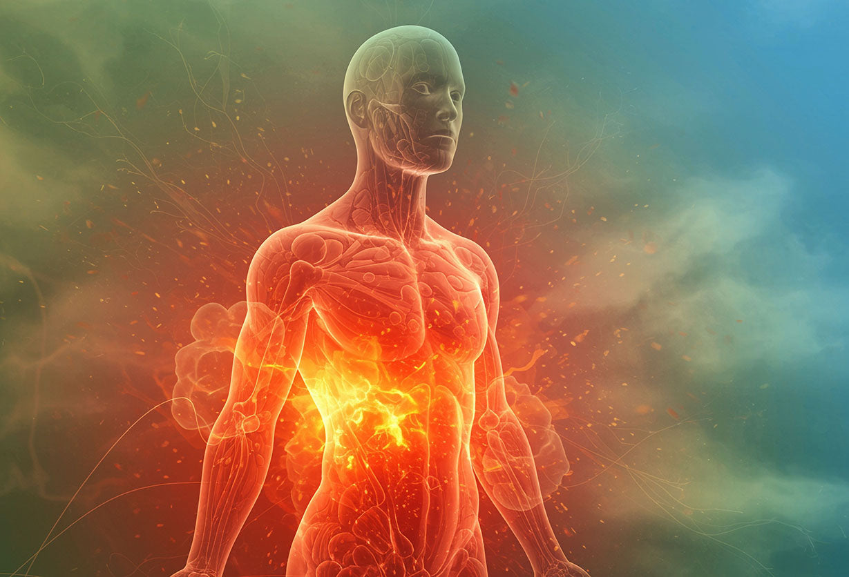Ep. 145 - Inflammation Isn't the Enemy - Why The “Cleanup” Process Matters for Healthy Aging