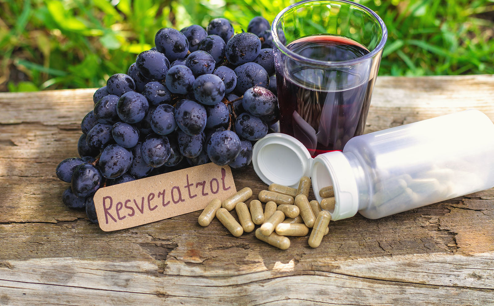 Resveratrol Update with Dr. Marcia da Silva Pinto  Part 1