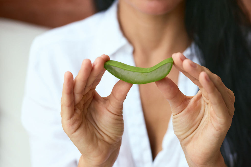 5 Tips for Picking an Aloe Vera Supplement that Actually Works.