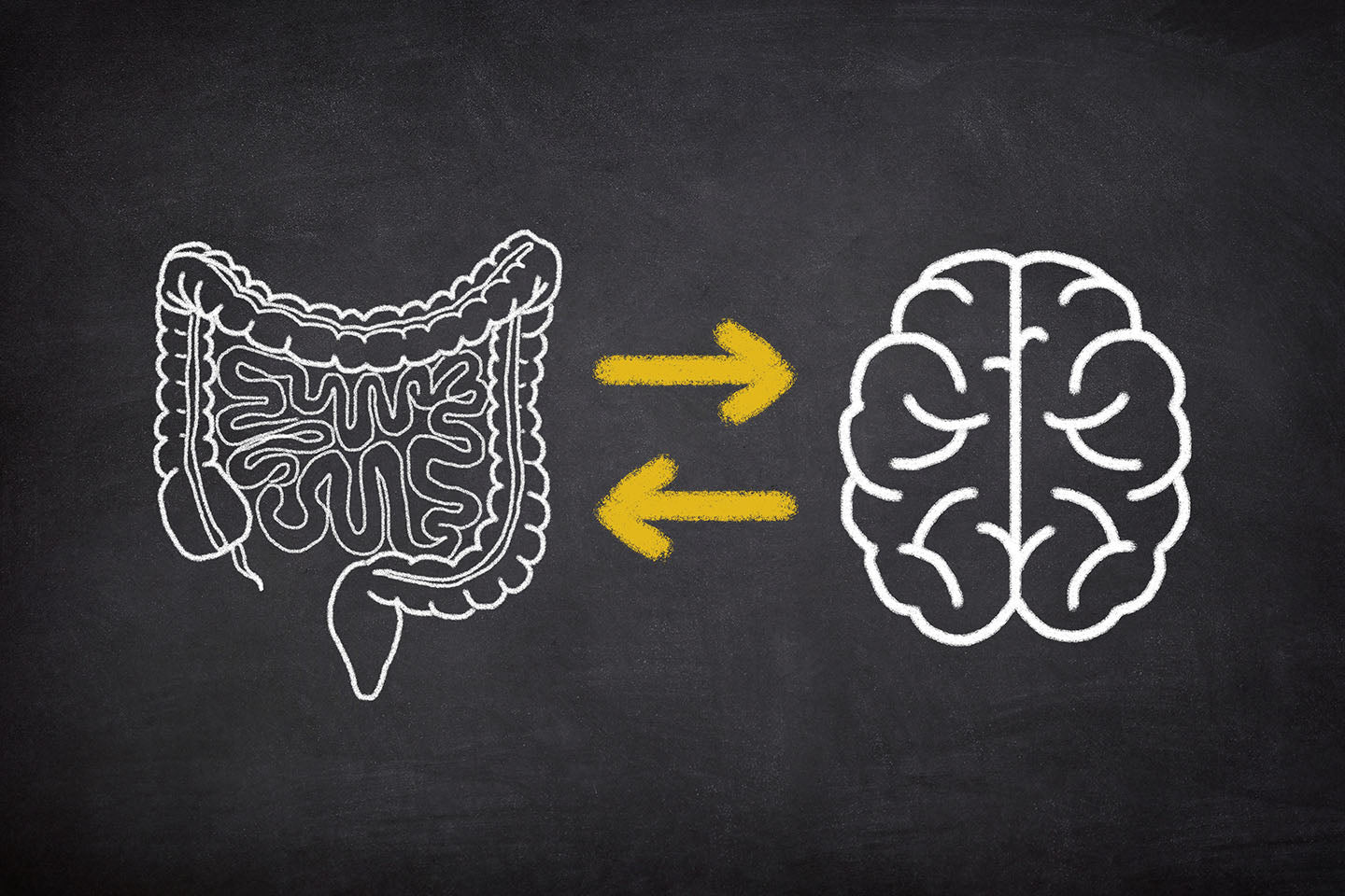 Ep. 151 - Can Your Gut Help Keep Your Brain and Muscles Younger?