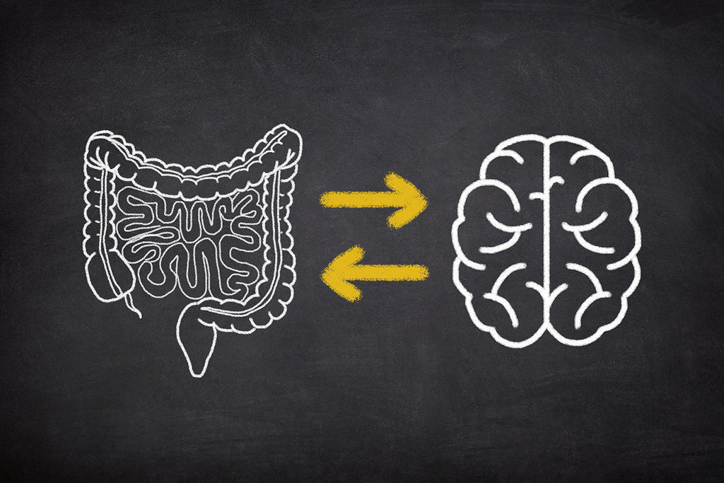 Ep. 151 - Can Your Gut Help Keep Your Brain and Muscles Younger?