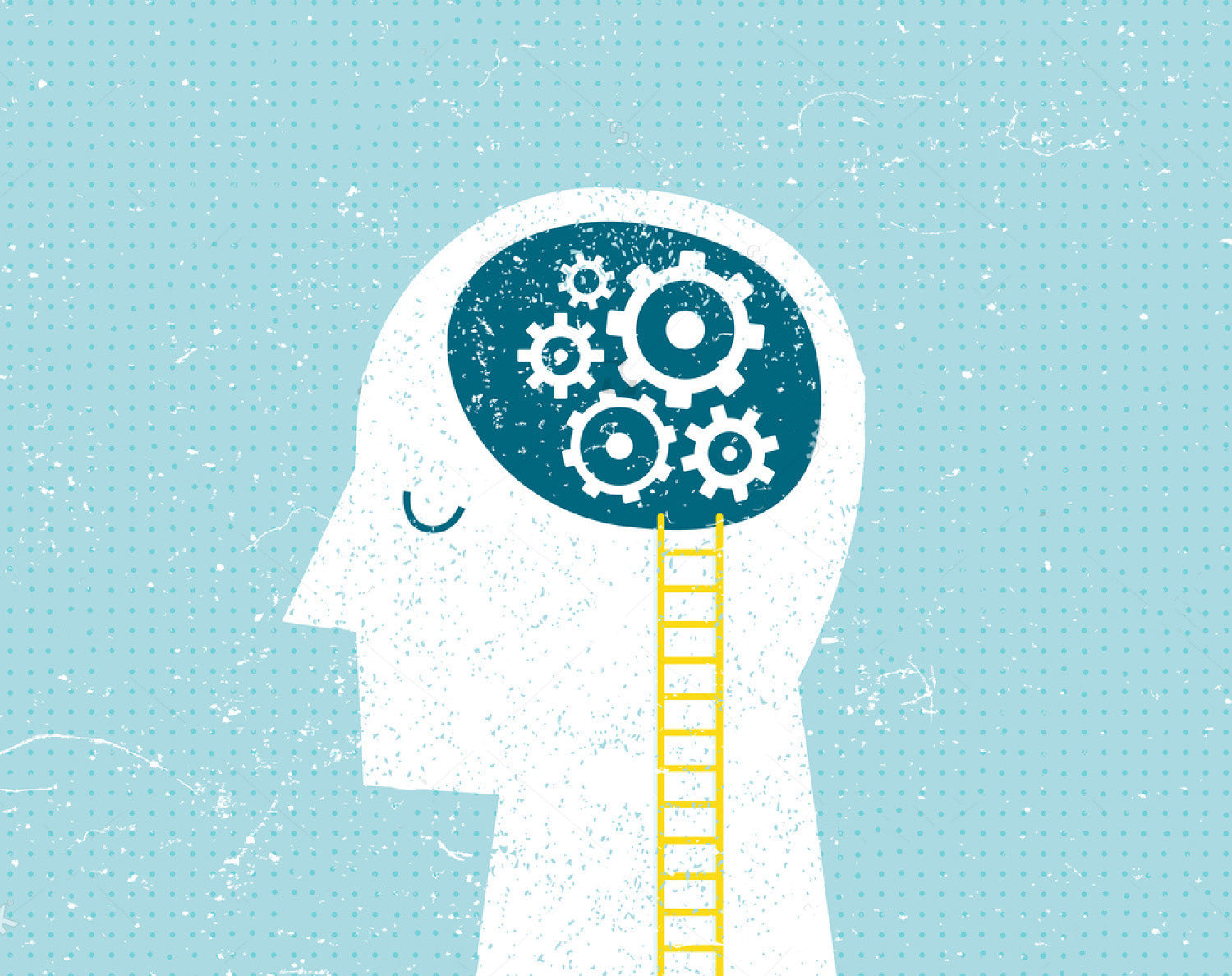 Astaxanthin & Immune Health / Fiber & Cognitive Health / ALA & Memory