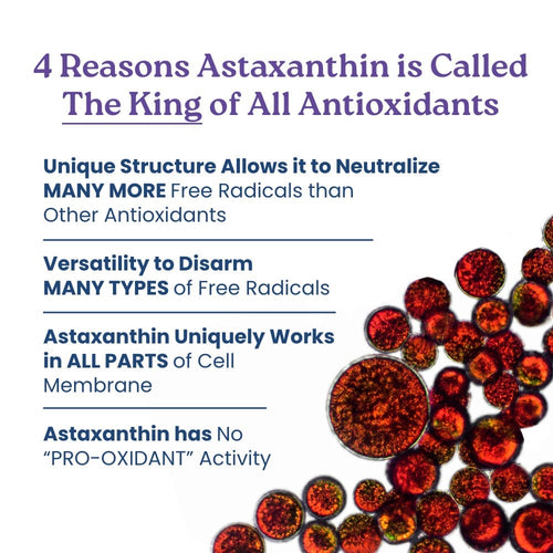 TrueAsta - Natural Astaxanthin - 90 Soft Gels-4