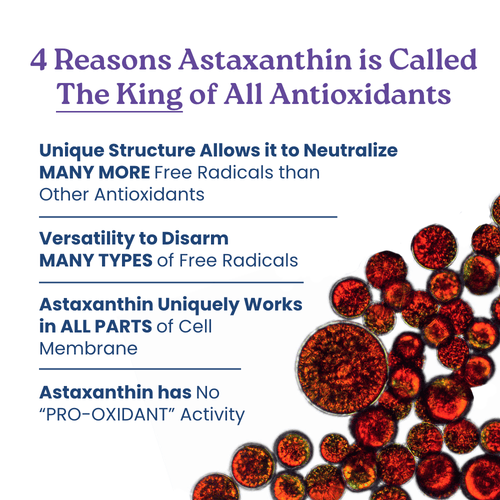 TrueAsta - Natural Astaxanthin-4