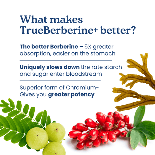 TrueBerberine+ - Blood Sugar & Weight Management Support-4