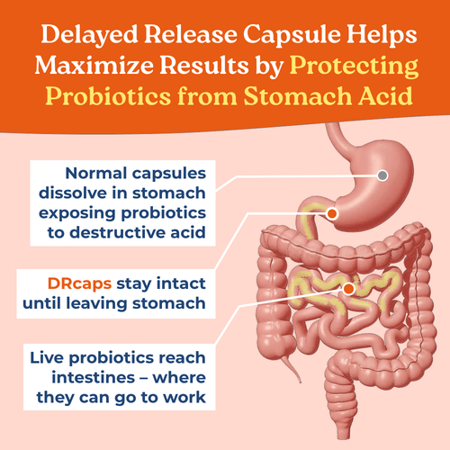 TrueLife PB - Probiotic and Prebiotic Blend-6