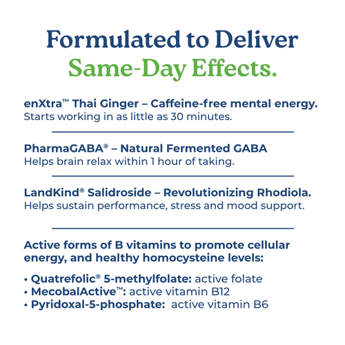 TrueMind - Supports Focus, Alertness and Improved Cognitive Performance-4